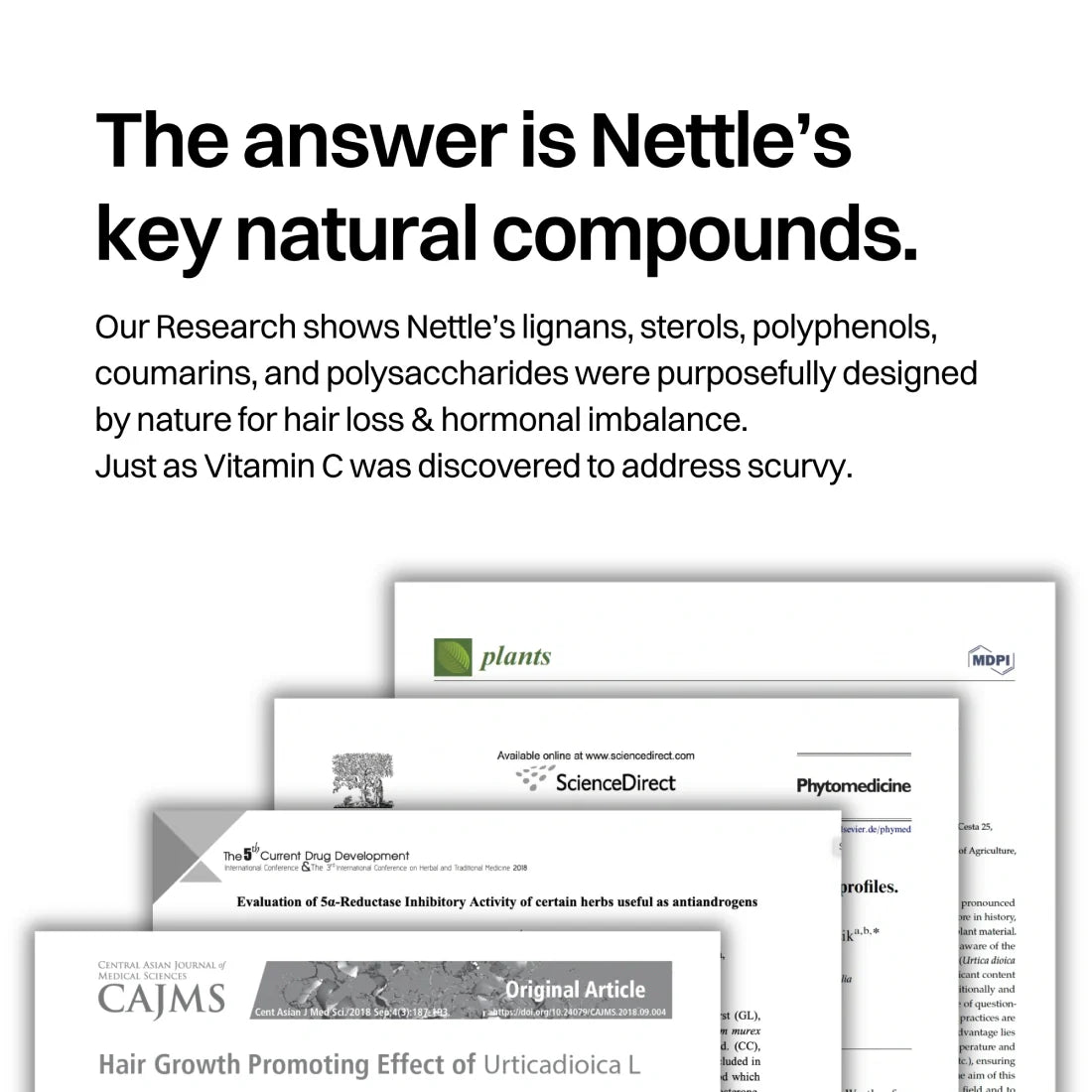 Hair & Prostate Bags Men additional image